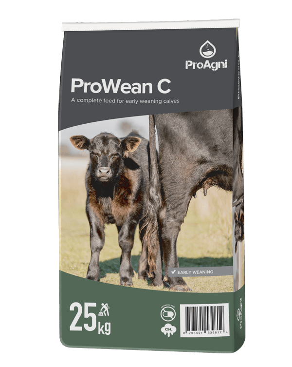 MASTER ProWean C Pakaging 3D small