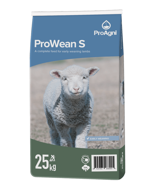 MASTER ProWean S Pakaging 3D small