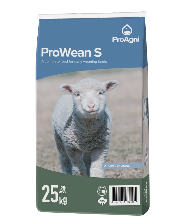 MASTER ProWean S Pakaging 3D small