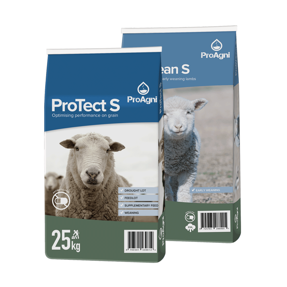 Website ProTectS+PtroWeanS
