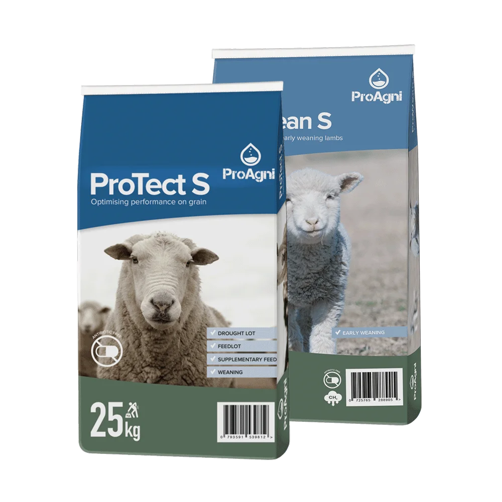 Website ProTectS+PtroWeanS