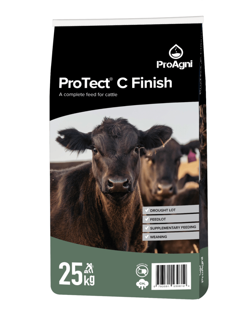 MASTER ProTect C+Finish