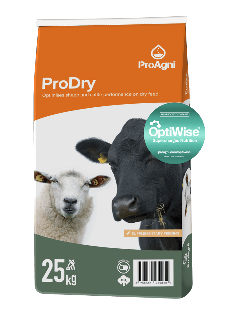 ProAgni Optiwise ProDry