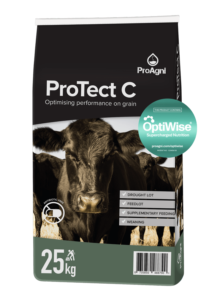 ProAgni Optiwise ProTect C