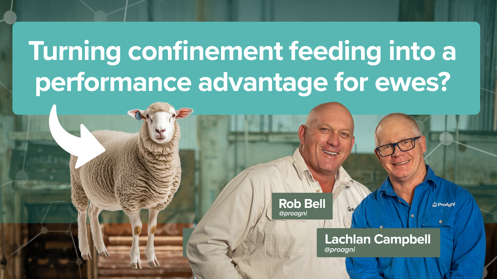 How to turn confinement feeding into a performance advantage for ewes? 