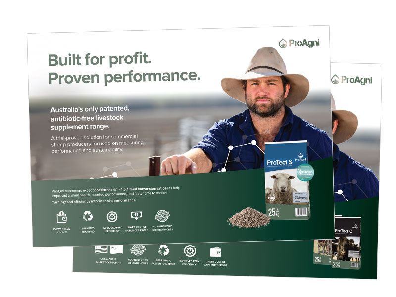 All product brochures Oct 2026