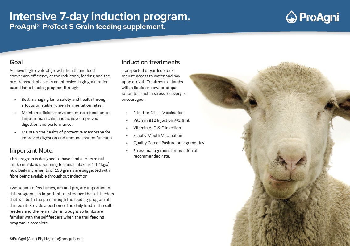 Sheep Induction plans - ProAgni