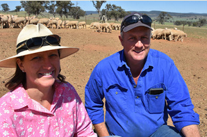 central-west NSW producers Rob and Jude Cooke