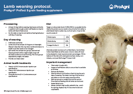 Lamb weaning protocol.