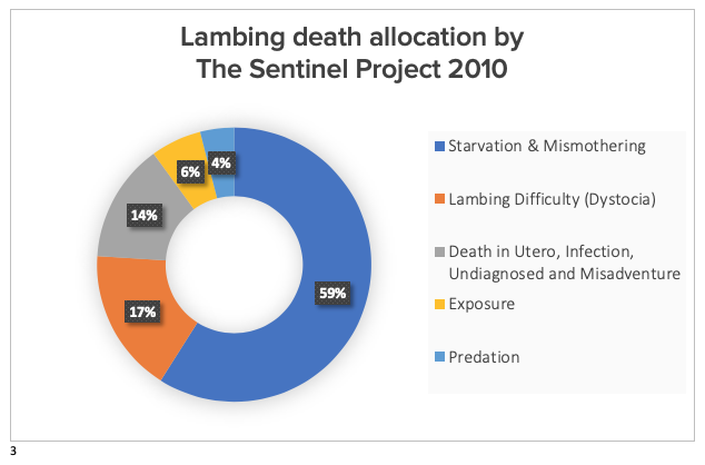 Lambing Chart