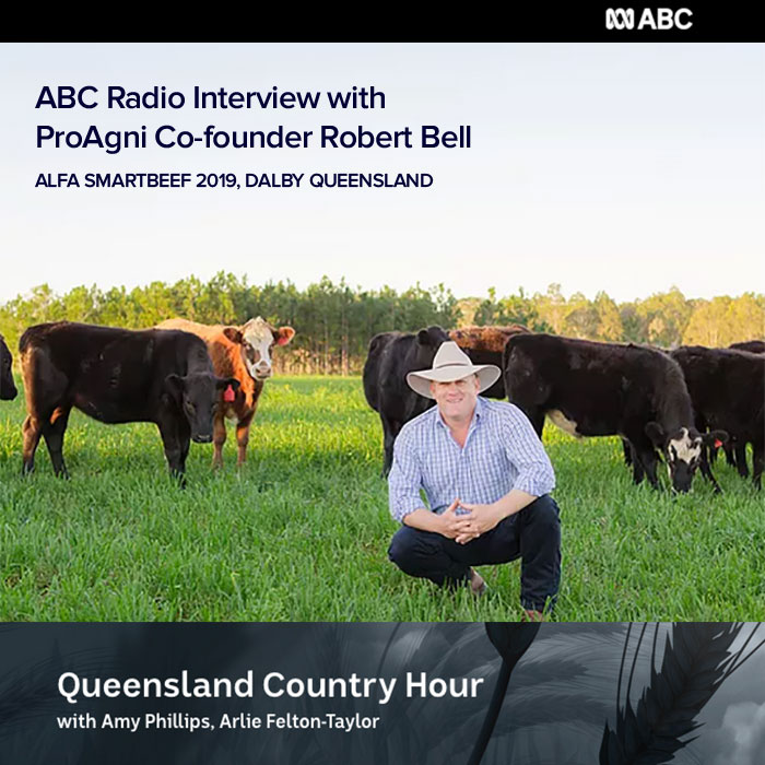 QLD Country Hour ABC Robe Bell interview